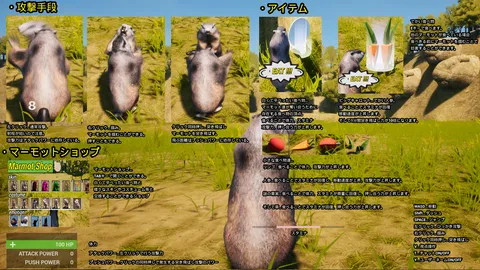 Marmot Fight Club screenshot