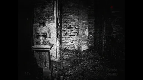 [REC] Desolation screenshot