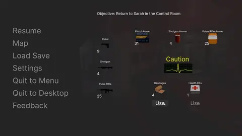 The SS Destiny Disaster screenshot
