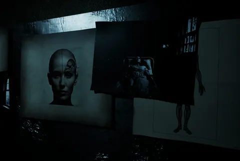Forest Asylum screenshot