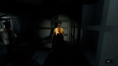 The SS Destiny Disaster screenshot