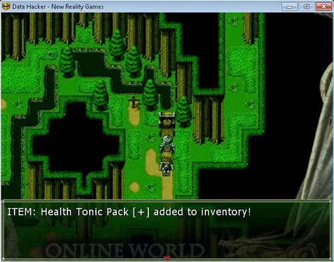 Data Hacker: Initiation screenshot