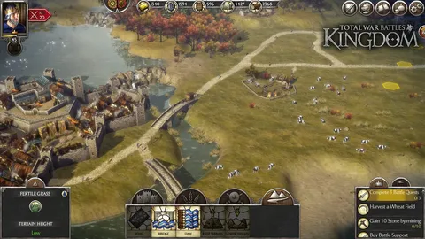 Total War Battles: KINGDOM screenshot