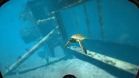 World of Diving screenshot