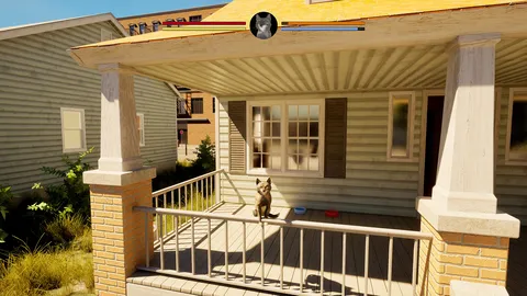 City of Cats screenshot
