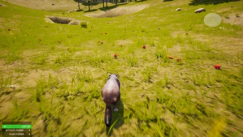 Marmot Fight Club screenshot
