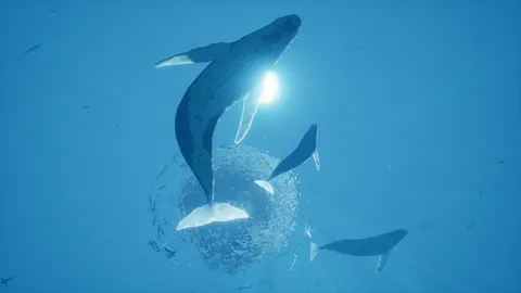 ABZU screenshot