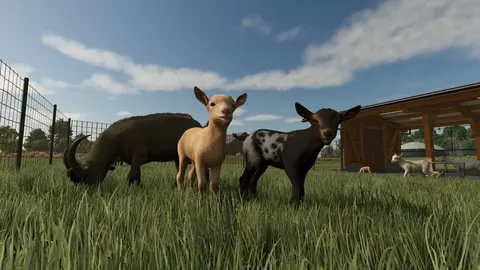 Farming Simulator 25 screenshot