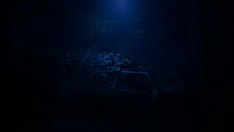 Blue Light screenshot