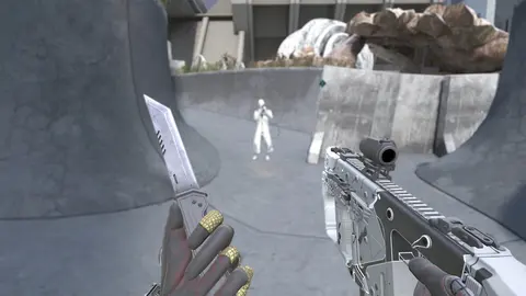 VAIL screenshot