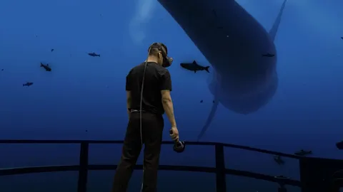 SteamVR screenshot