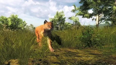 theHunter Classic screenshot