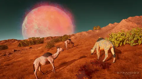 Stranded: Alien Dawn screenshot