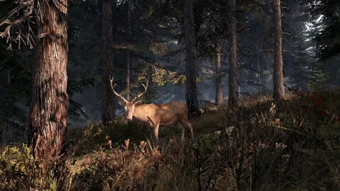 This Land Is My Land screenshot