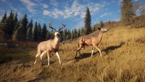 theHunter: Call of the Wild™ screenshot