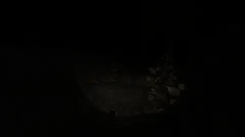 Damned screenshot