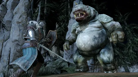 Dark Souls II screenshot