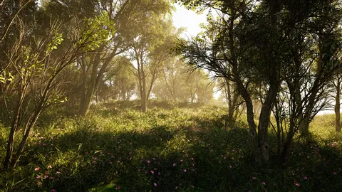 Calming Forest screenshot
