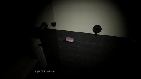 Bathroom screenshot
