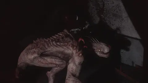 SCP: 5K screenshot