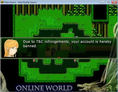 Data Hacker: Initiation screenshot