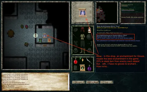 Lord of the Dark Castle screenshot