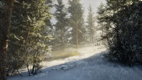 BIGFOOT screenshot