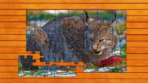 Wild Lynx Jigsaw screenshot