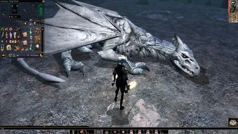 Neverwinter Nights: Enhanced Edition screenshot