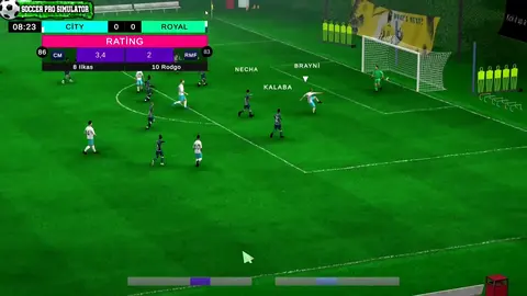 Soccer Pro Simulator screenshot
