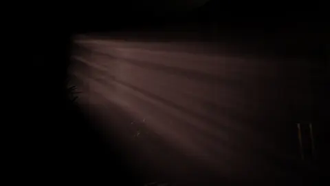 Foul Bliss screenshot