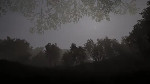 Calming Forest screenshot