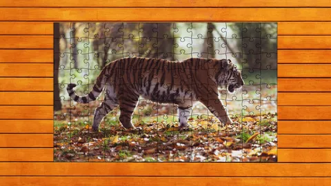 Big Cat Jigsaw Quest screenshot