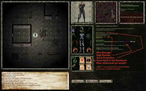 Lord of the Dark Castle screenshot