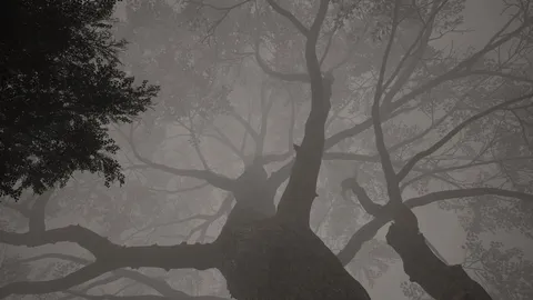 Calming Forest screenshot