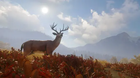 theHunter: Call of the Wild™ screenshot