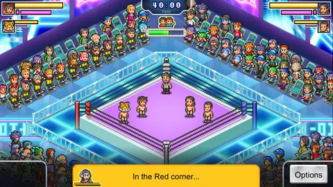 Pro Wrestler Story screenshot