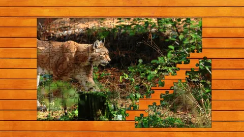 Wild Lynx Jigsaw screenshot
