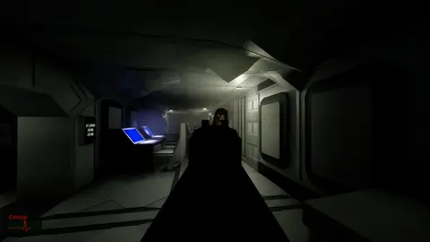 The SS Destiny Disaster screenshot