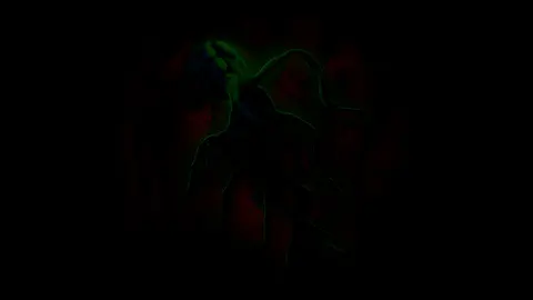 Stones of Flesh screenshot