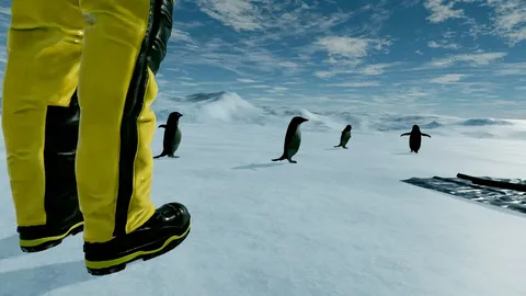 Kolb Antarctica Experience screenshot