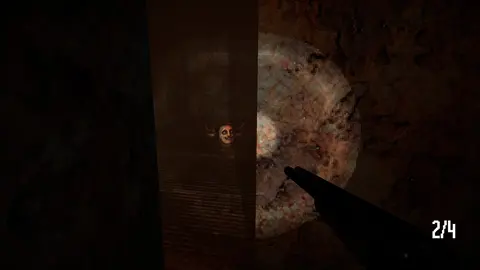 Lost in Vivo screenshot