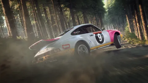 Dirt Rally 2.0 screenshot