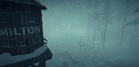The Long Dark screenshot