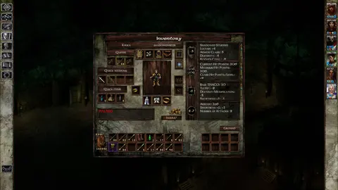 Icewind Dale: Enhanced Edition screenshot