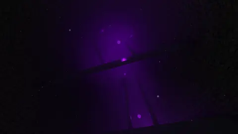 Septic screenshot