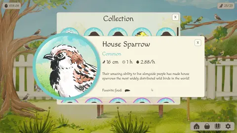 Birdfull screenshot