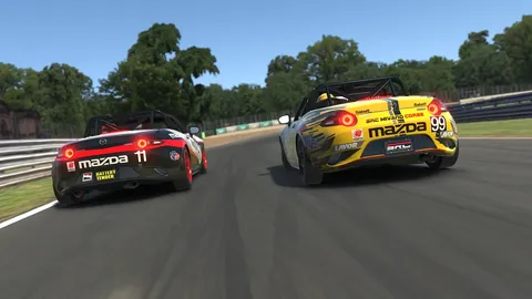iRacing screenshot