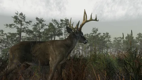 Deer Hunting Camp screenshot