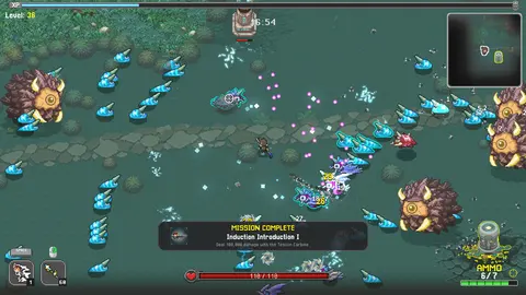 NIMRODS screenshot